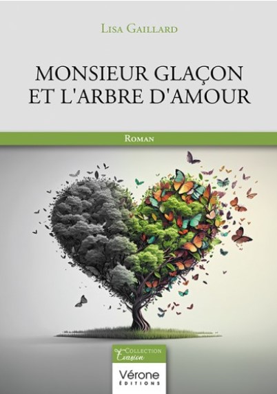 Mon premier roman paru aux Editions Vérone en août 2024